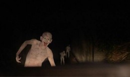 恐怖之森在线观看,惊悚探险，揭秘神秘森林的恐怖传说